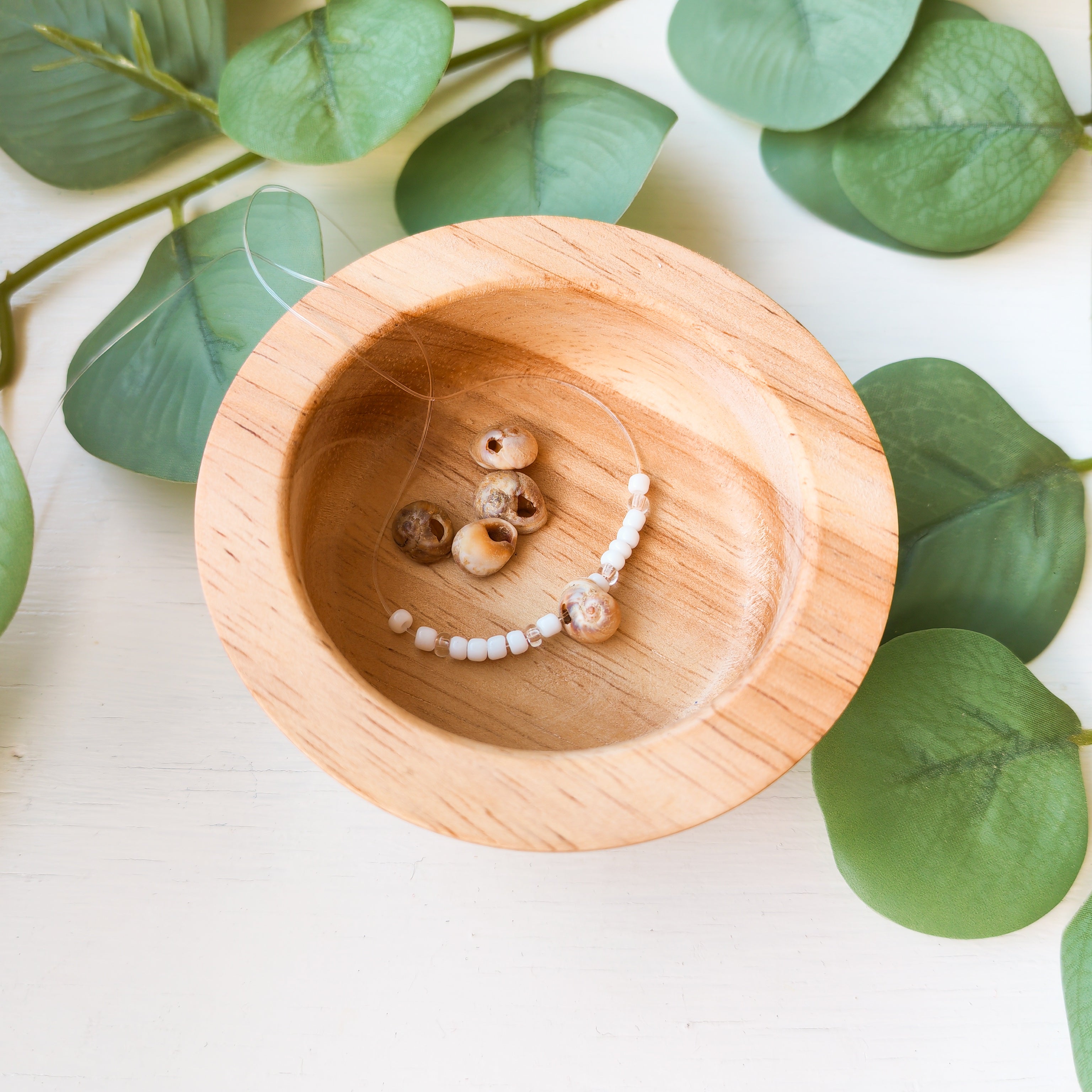 Natural Beige Shells  - Extra Beads