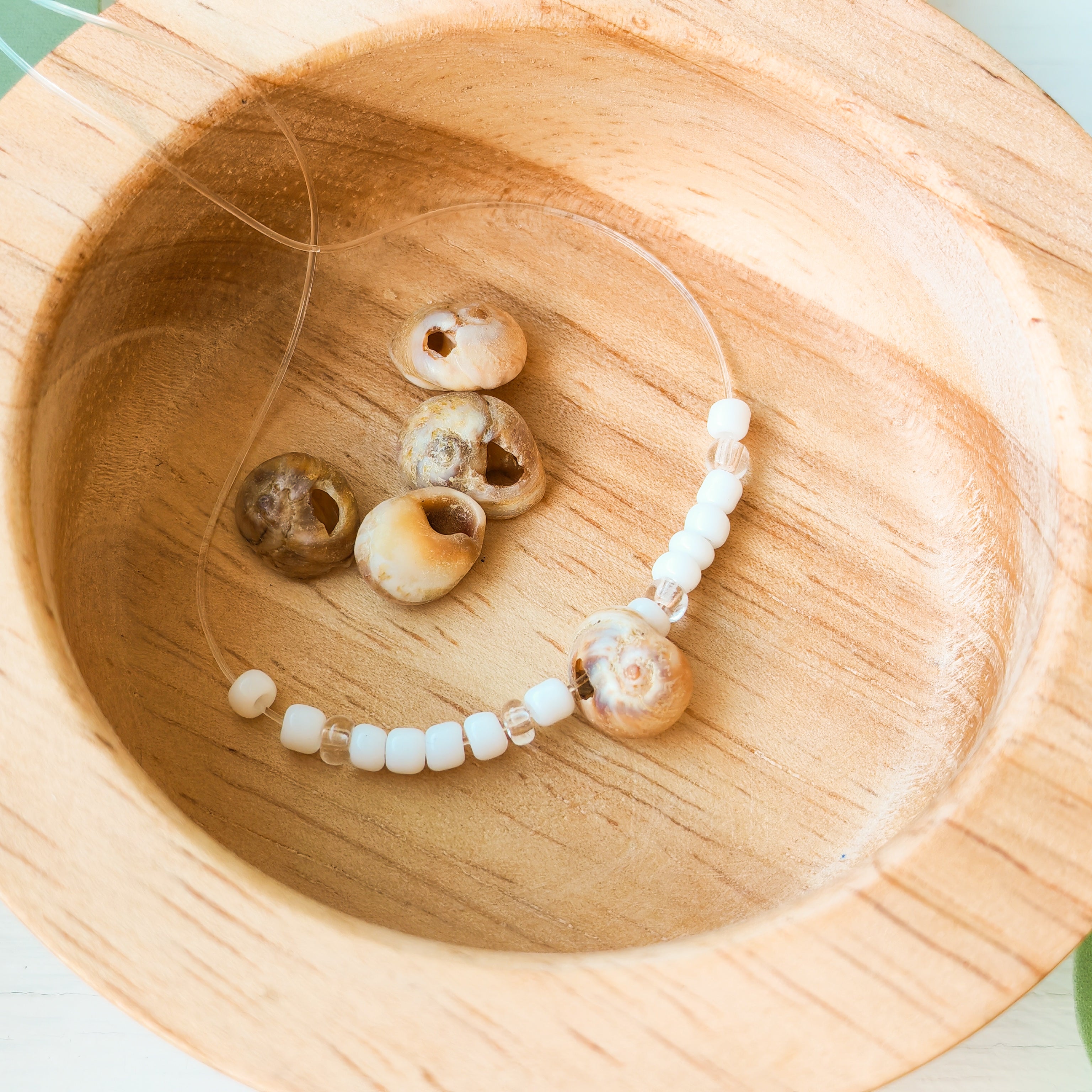 Natural Beige Shells  - Extra Beads