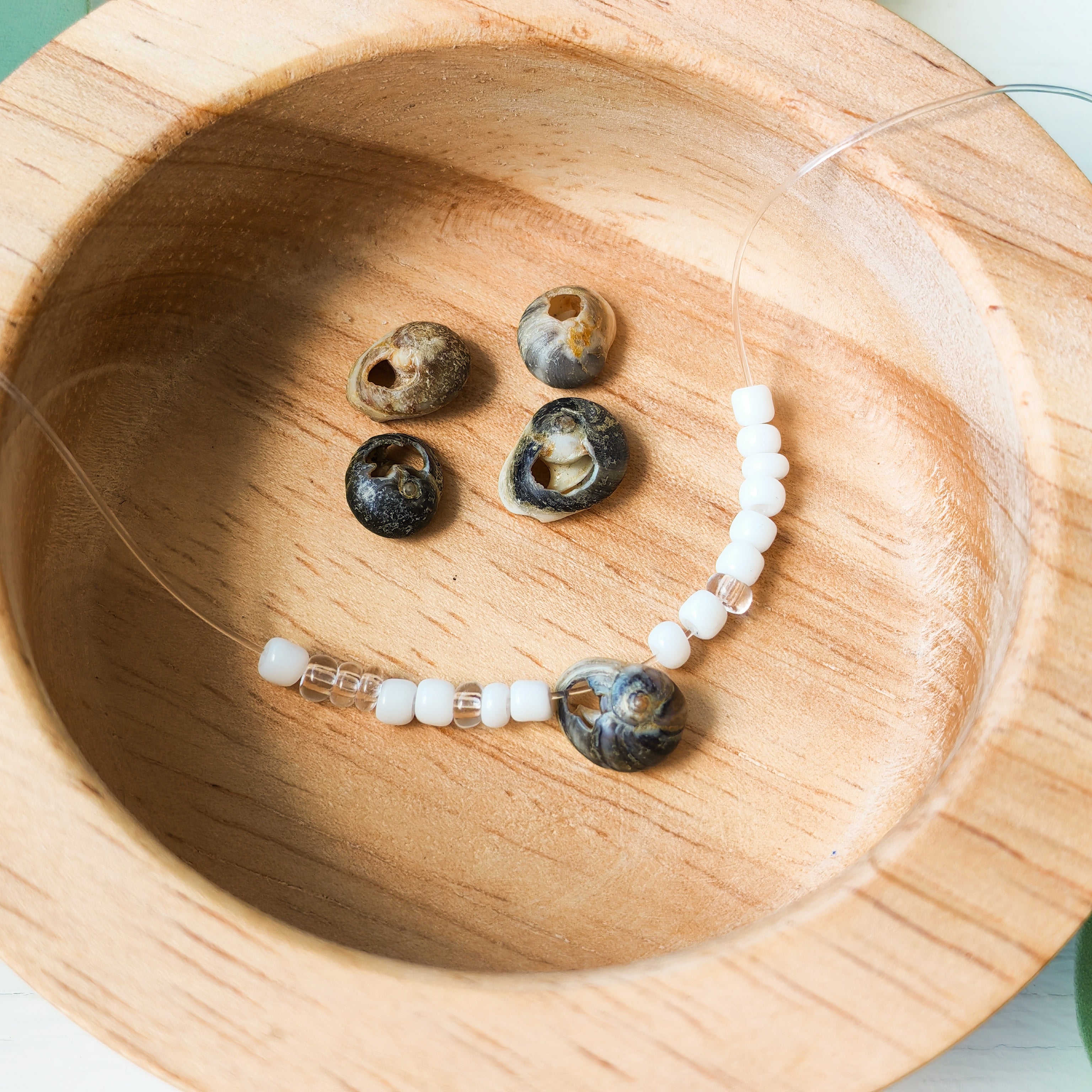 Natural Dark Shells  - Extra Beads